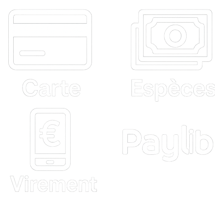 mini-bus-voyages-collioure-perpignan-vtc-chauffeur-prive-pyrenees-orientales-66-aeroport-gare-taxi-premium